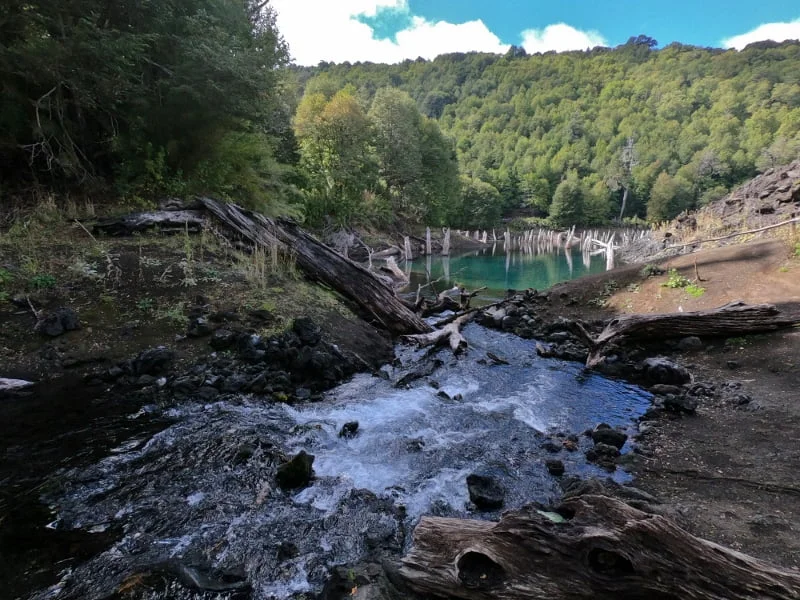 Paisaje de agua, bosque nativo y relieve volcánico en el Parque Nacional Conguillío