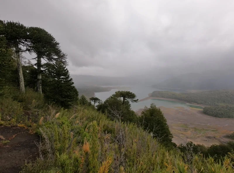 Lago Conguillío y araucarias en la cordillera de La Araucanía