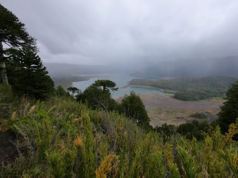 Vista abierta del volcán Llaima desde la parte alta de Sierra Nevada