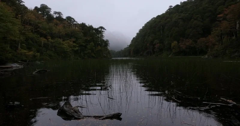 Panorámica desde la parte alta del Parque Nacional Huerquehue