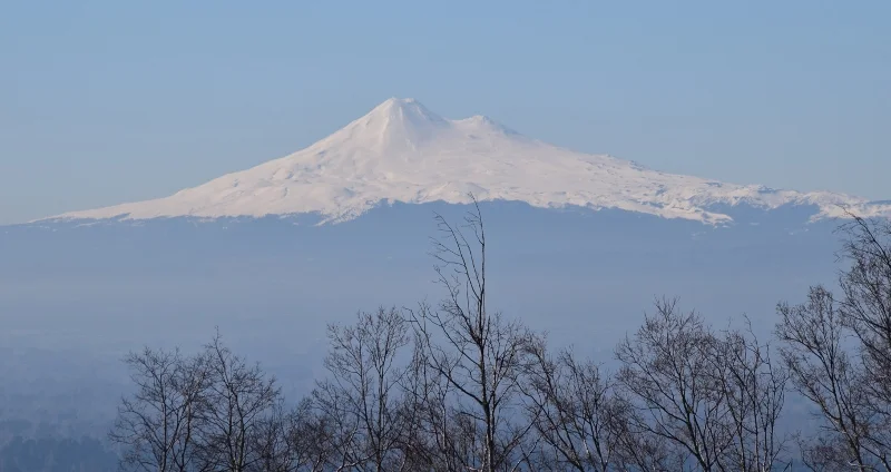 Panorámica del entorno urbano de Temuco desde el Cerro Ñielol