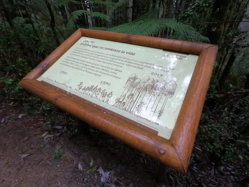 Paisaje observado desde las zonas altas del Parque Oncol