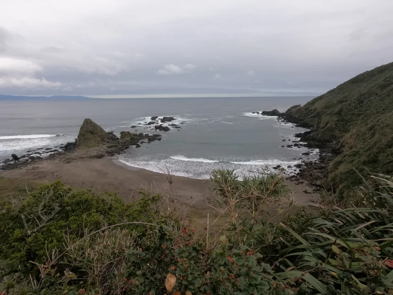 Vista panorámica de Punta Curiñanco y el océano Pacífico