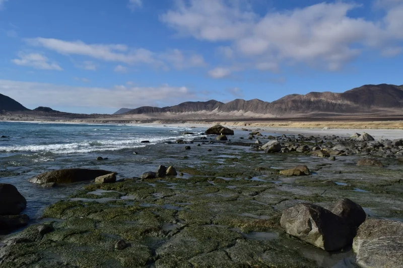 Costa rocosa, playa y montañas áridas del Parque Nacional Pan de Azúcar