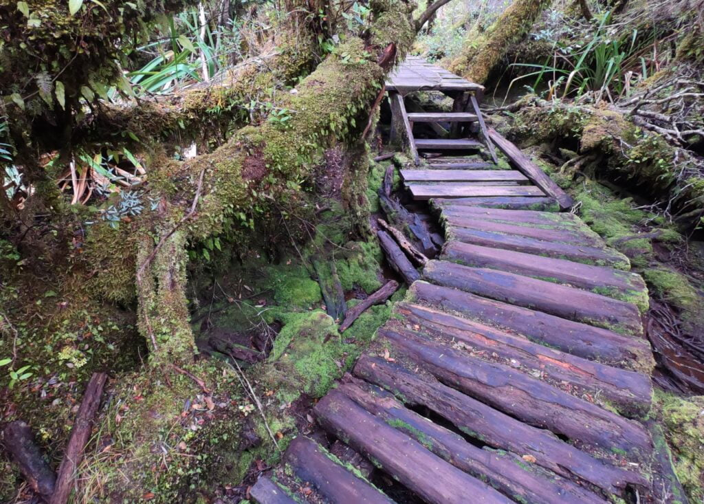 Paisaje de la costa del océano Pacífico en el Parque Nacional Chiloé