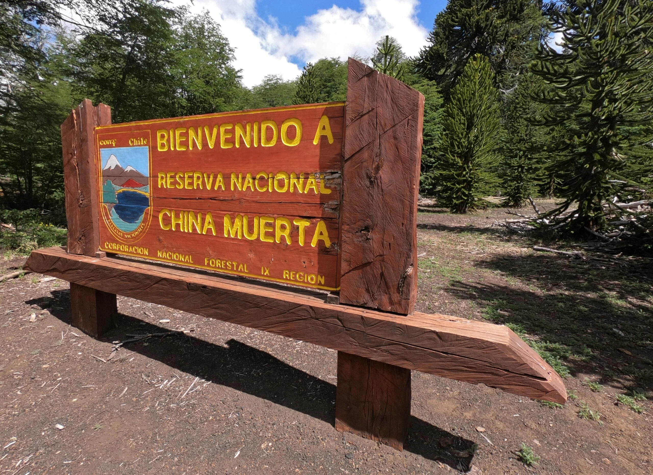 Sector de bosque afectado por el incendio en la Reserva Nacional China Muerta