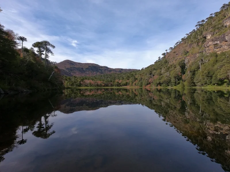 Laguna Verde rodeada de bosque en el Parque Nacional Tolhuaca