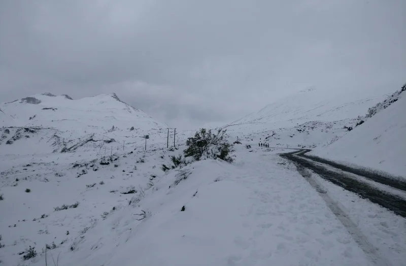 Camino interior cubierto de nieve en el Parque Nacional Laguna del Laja
