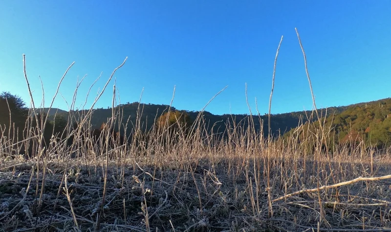 Inicio del trekking a Laguna Espejo en Lonquimay