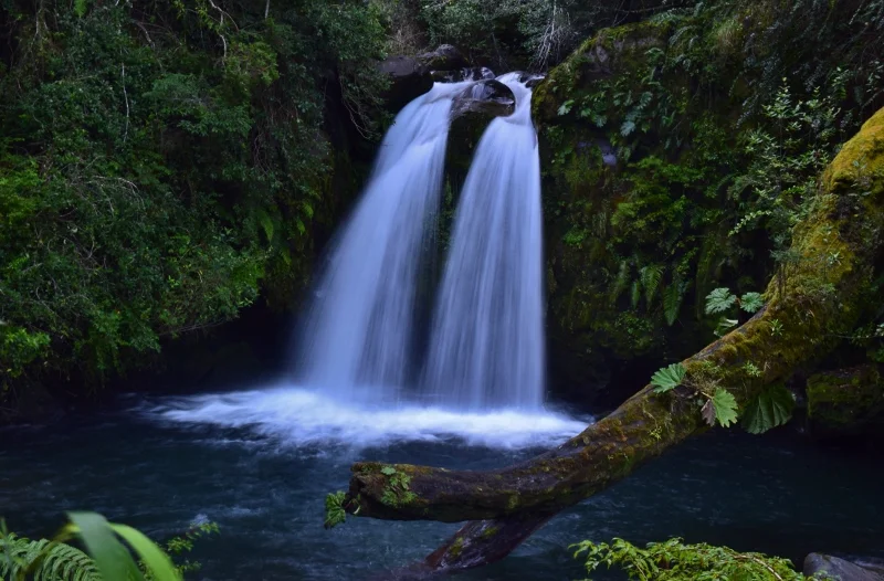 Bosque y paisaje del sector Anticura en el Parque Nacional Puyehue