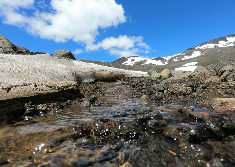 Panorámica de la cordillera desde el Quetrupillán