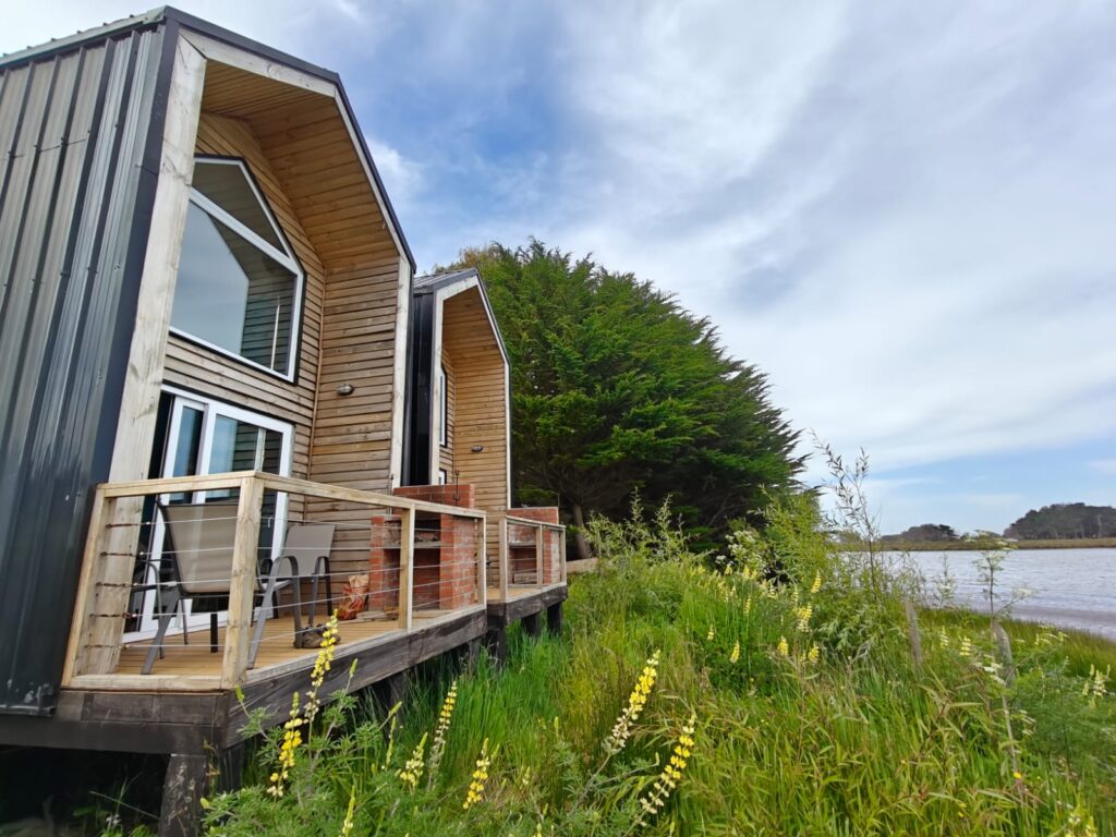 596e6fcb-408d-4e62-b490-1054d2a29669