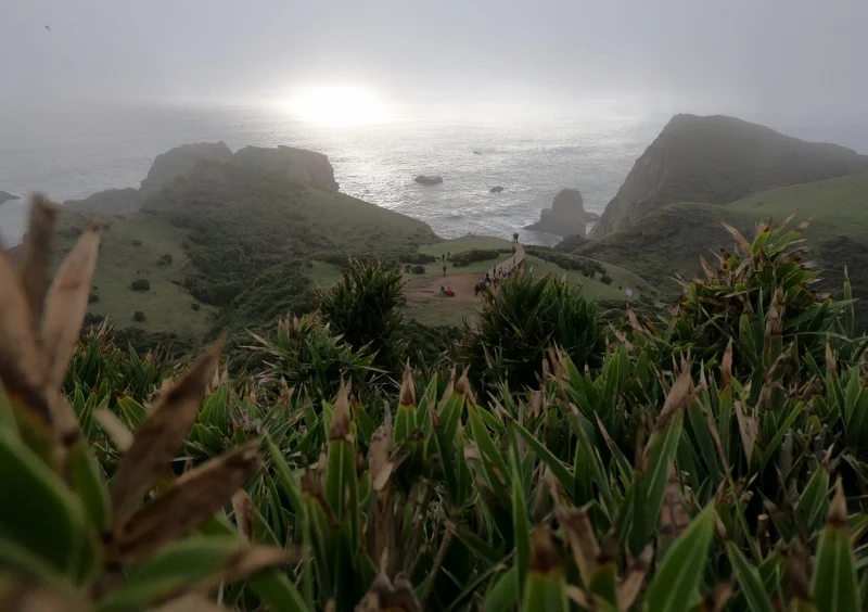 Praderas costeras y océano Pacífico en el sendero del Muelle de las Almas