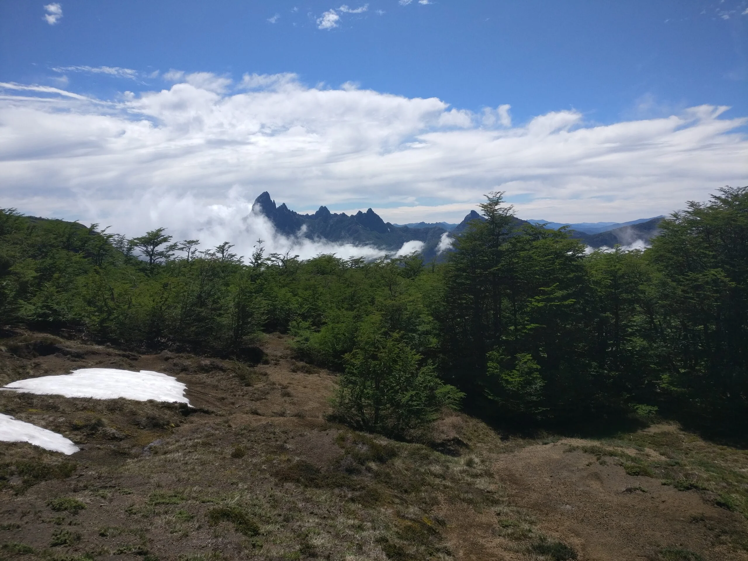 Volcán Lanín visto desde el Mirador Colmillo del Diablo