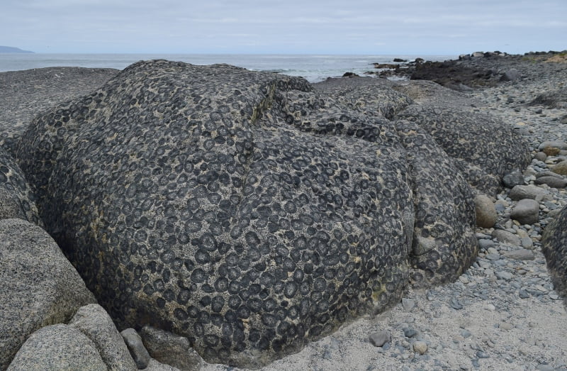 Afloramiento de granito orbicular junto al mar en Caldera