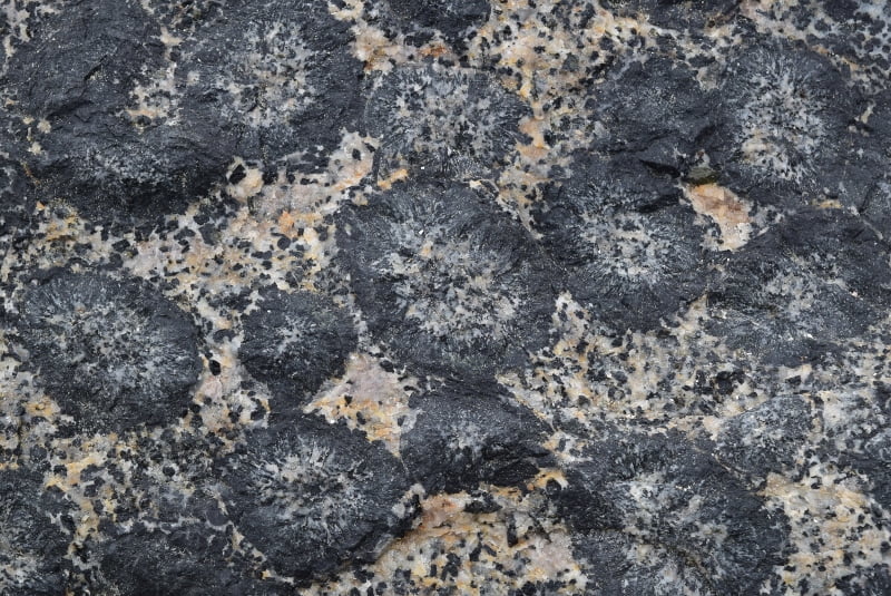 Textura orbicular con círculos y óvalos en el Santuario Granito Orbicular