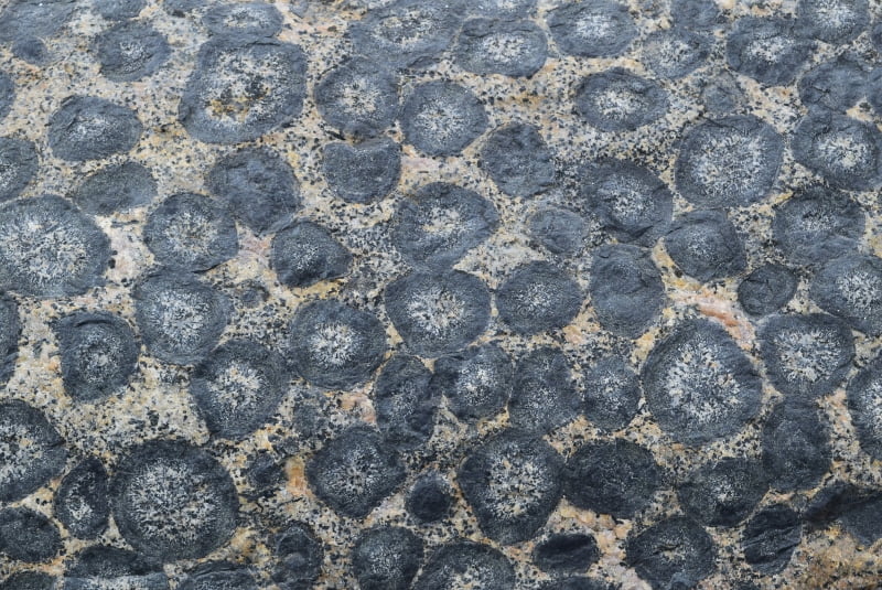 Rocas con patrones circulares en el borde costero del santuario de Caldera