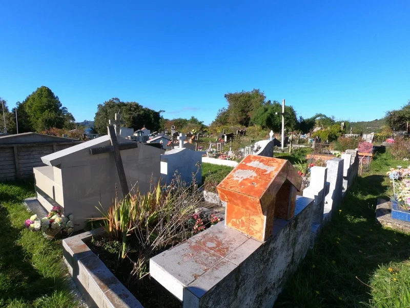 Cementerio de la Isla Aucar rodeado por árboles y vegetación