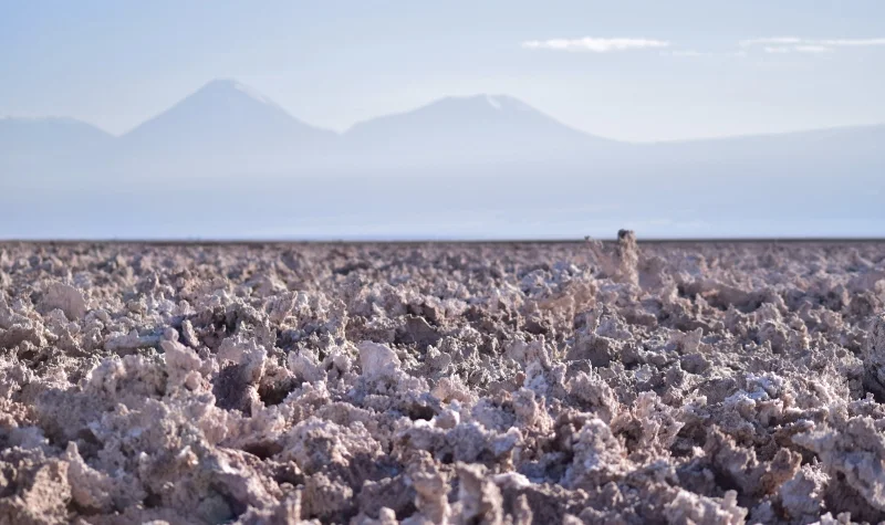 Costras de sal y agua superficial en Laguna Chaxa