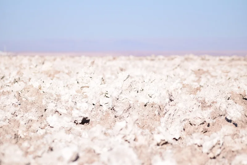 Salar de Atacama y cordillera observados desde Laguna Chaxa