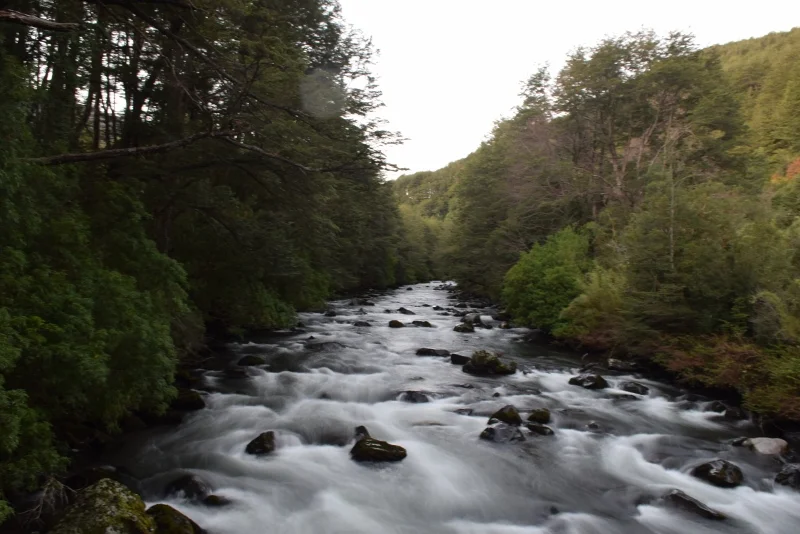 Agua del Salto de la Princesa entre roca y vegetación