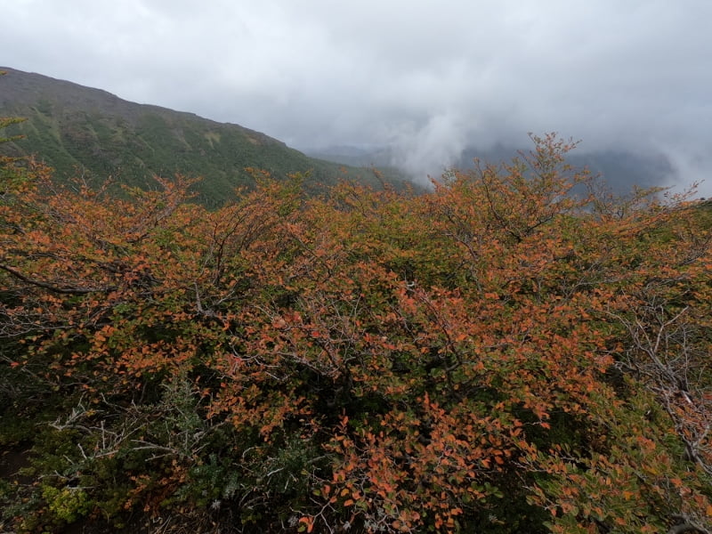 Sendero Sierra Nevada