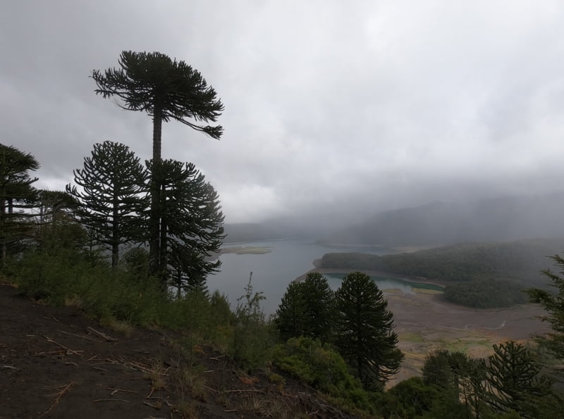 Sendero Sierra Nevada
