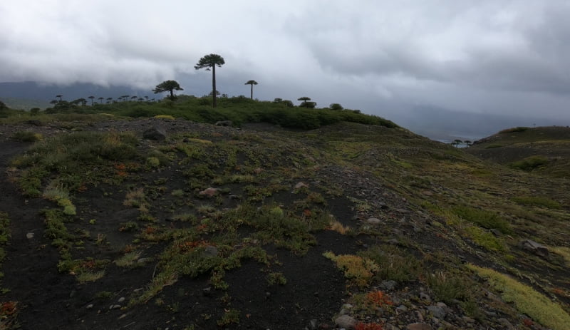 Sendero Sierra Nevada