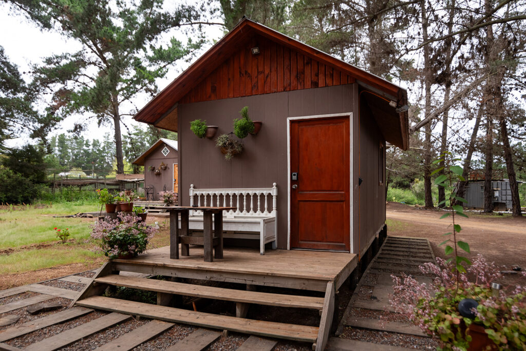 Cabañitas del bosque