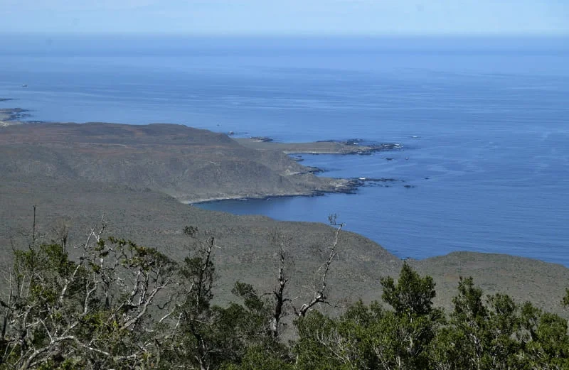 Vista desde el sendero del bosque relicto hacia el entorno costero