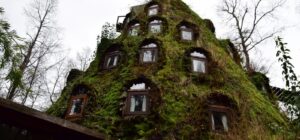huilo huilo hotel montaña magica