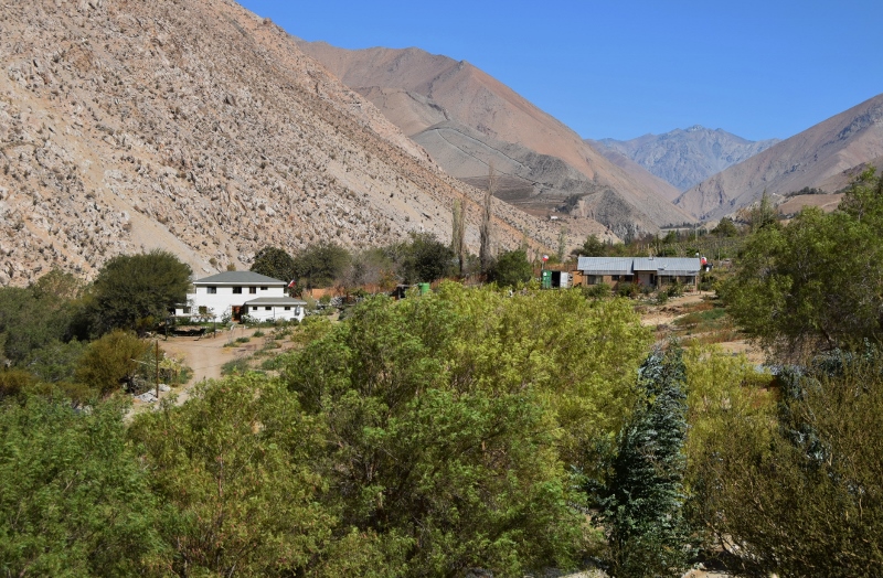 Cultivos verdes entre montañas del Valle del Elqui